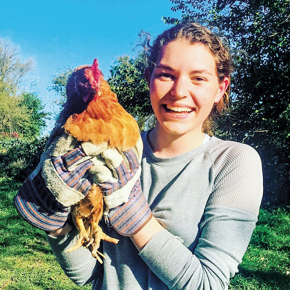 Collage of images of students, faculty and staff working at various service sites on spring break
