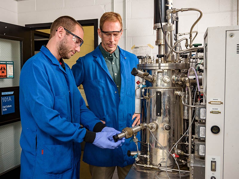 NovaCell Grant Supports Improved CAR-T Therapy Manufacturing NovaCell Grant Supports Improved CAR-T Therapy Manufacturing