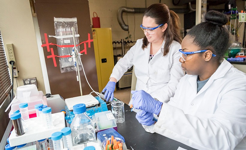 Bachelor of Science in Chemical Engineering Associate Professor Noelle Comolli works with a student in a lab.