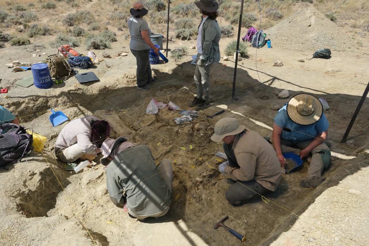 Villanova students participated in an paleontological dig in Montana to collect data for a virtual field trip program.