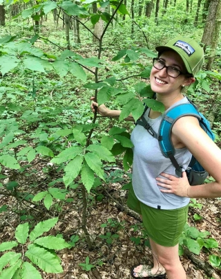 Dr. Santoro poses with a young American chestnut sprout that has yet to be infected with chestnut blight. Dr. Santoro poses with a young American chestnut sprout that has yet to be infected with chestnut blight.