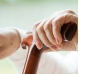 Advocating for the Older Population A hand holding a cane.