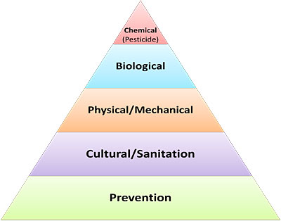IPM Pyramid
