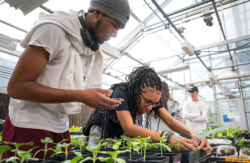 Villanova students observing plant growth in the Biology Greenhouse