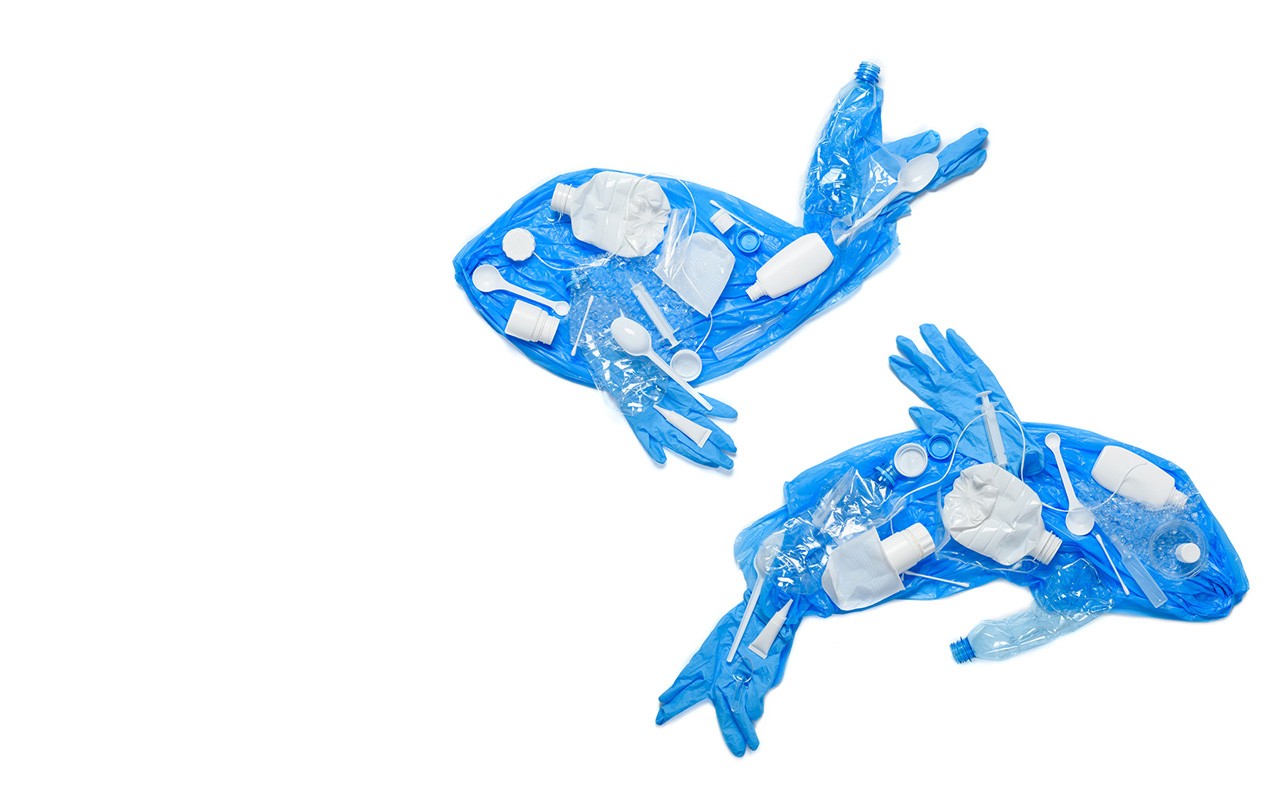White and blue single-use plastics are used to make the shape of a dolphin and whale.